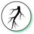 Bolden Boerhavia Diffusa Root Extract