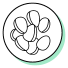 Bolden Lentil Seed Extract